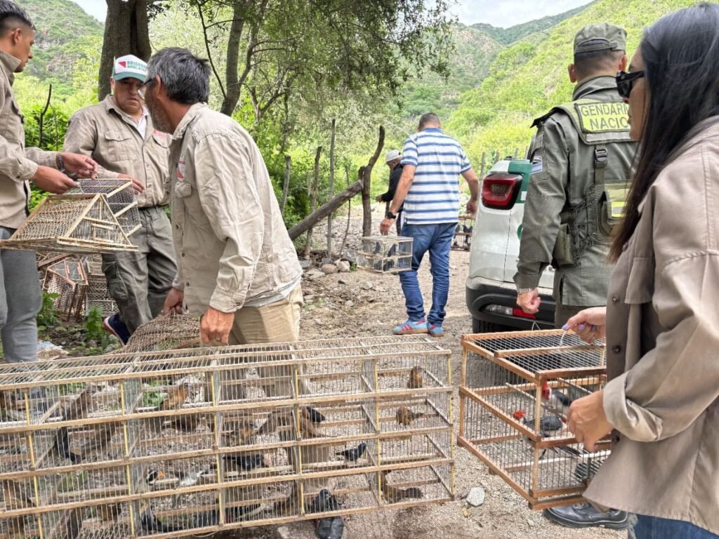 623685325 122159708870908261 2588045751842505601 n