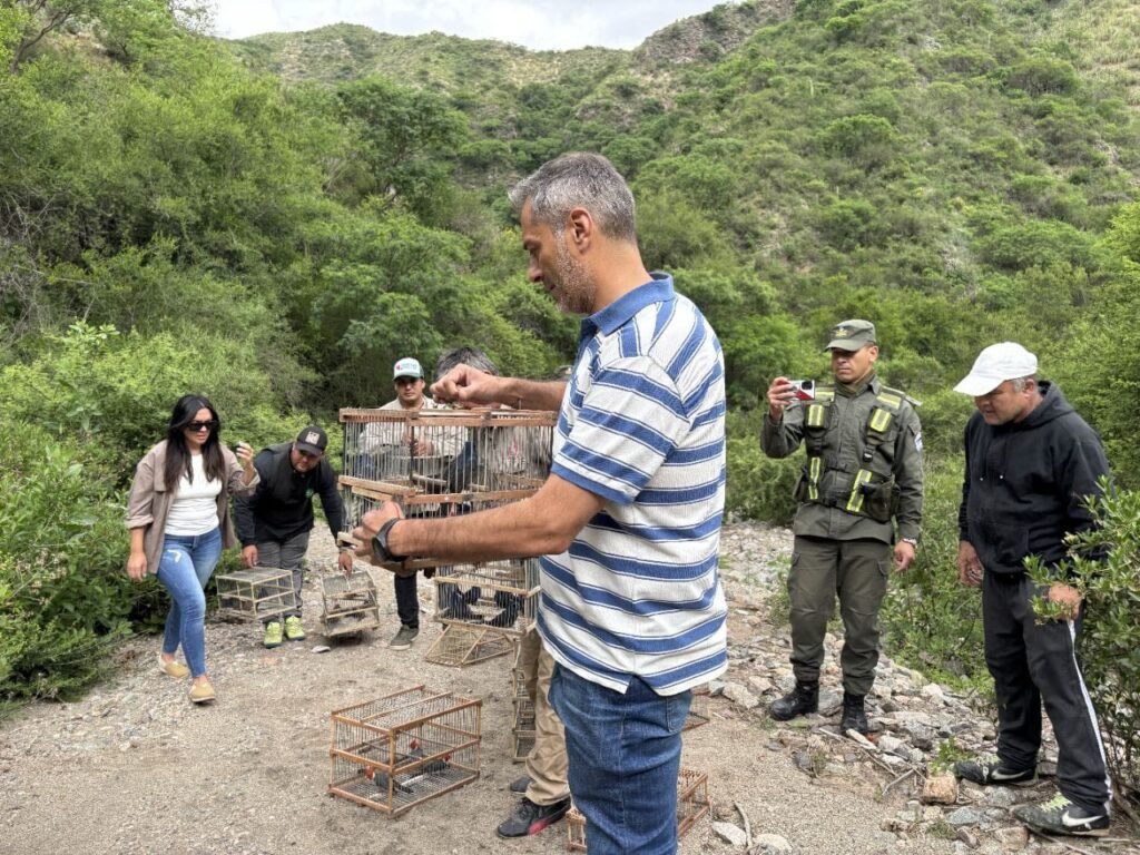 625667276 122159708930908261 1408928961655056744 n