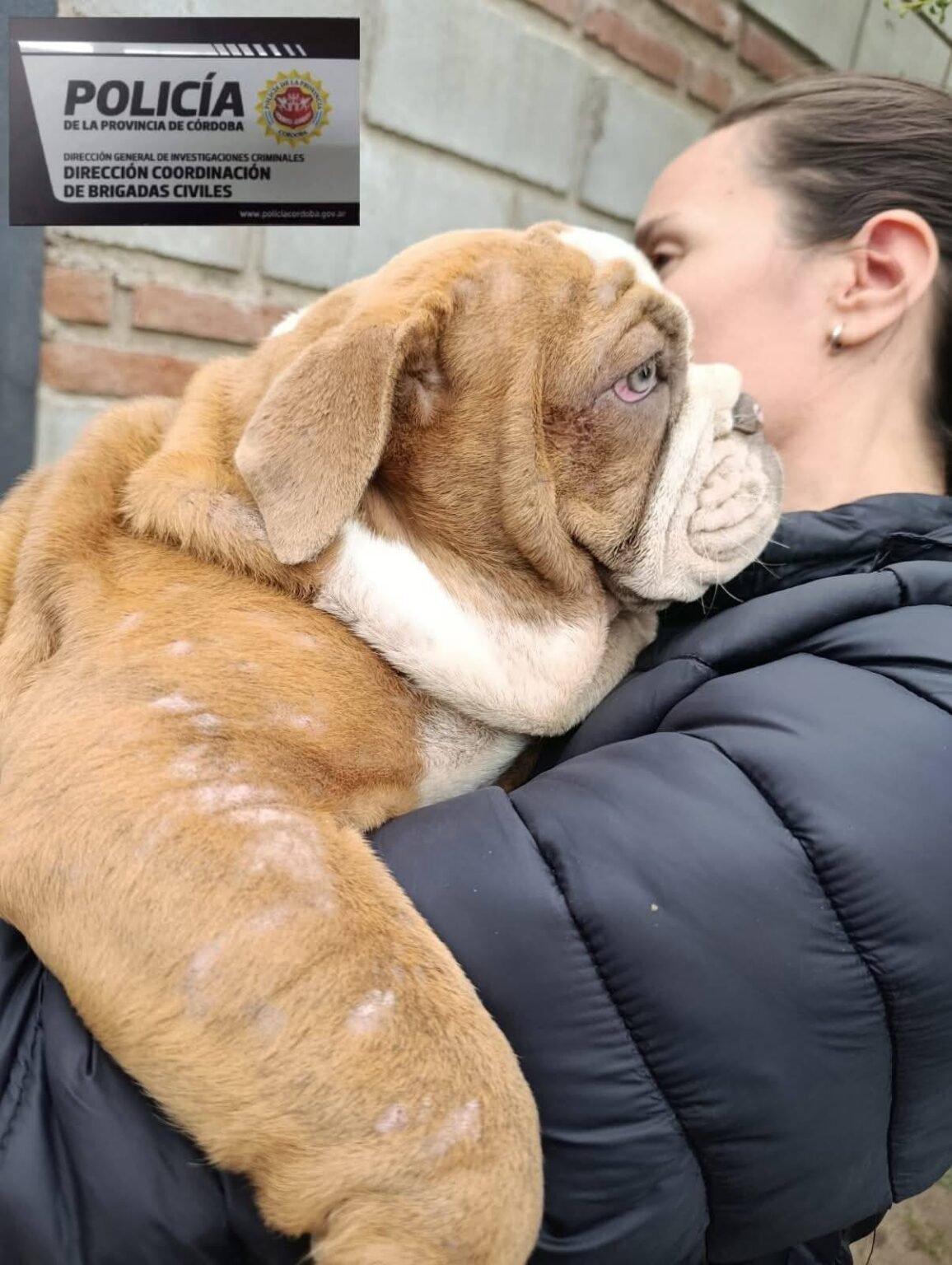 632077908 1239562208332682 6679284446431848993 n