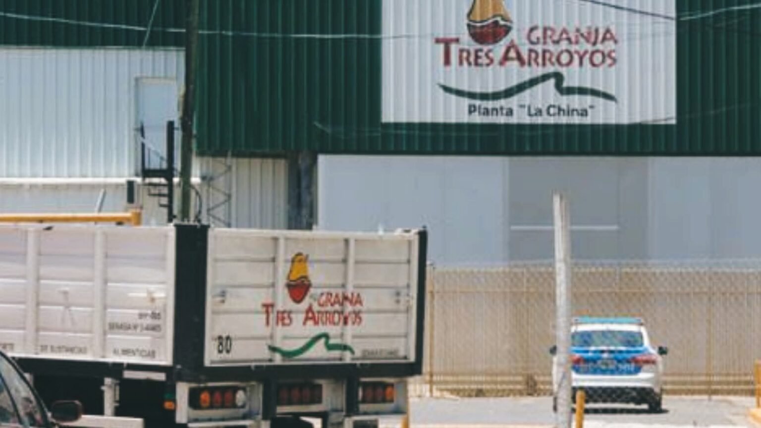 El mayor frigorífico avícola del país quedó al borde del cierre por la importación de pollo avicola