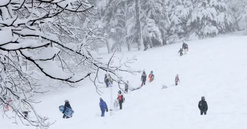 Nueva York bajo el "ciclón bomba": postales en medio de la tormenta histórica 1 bomba