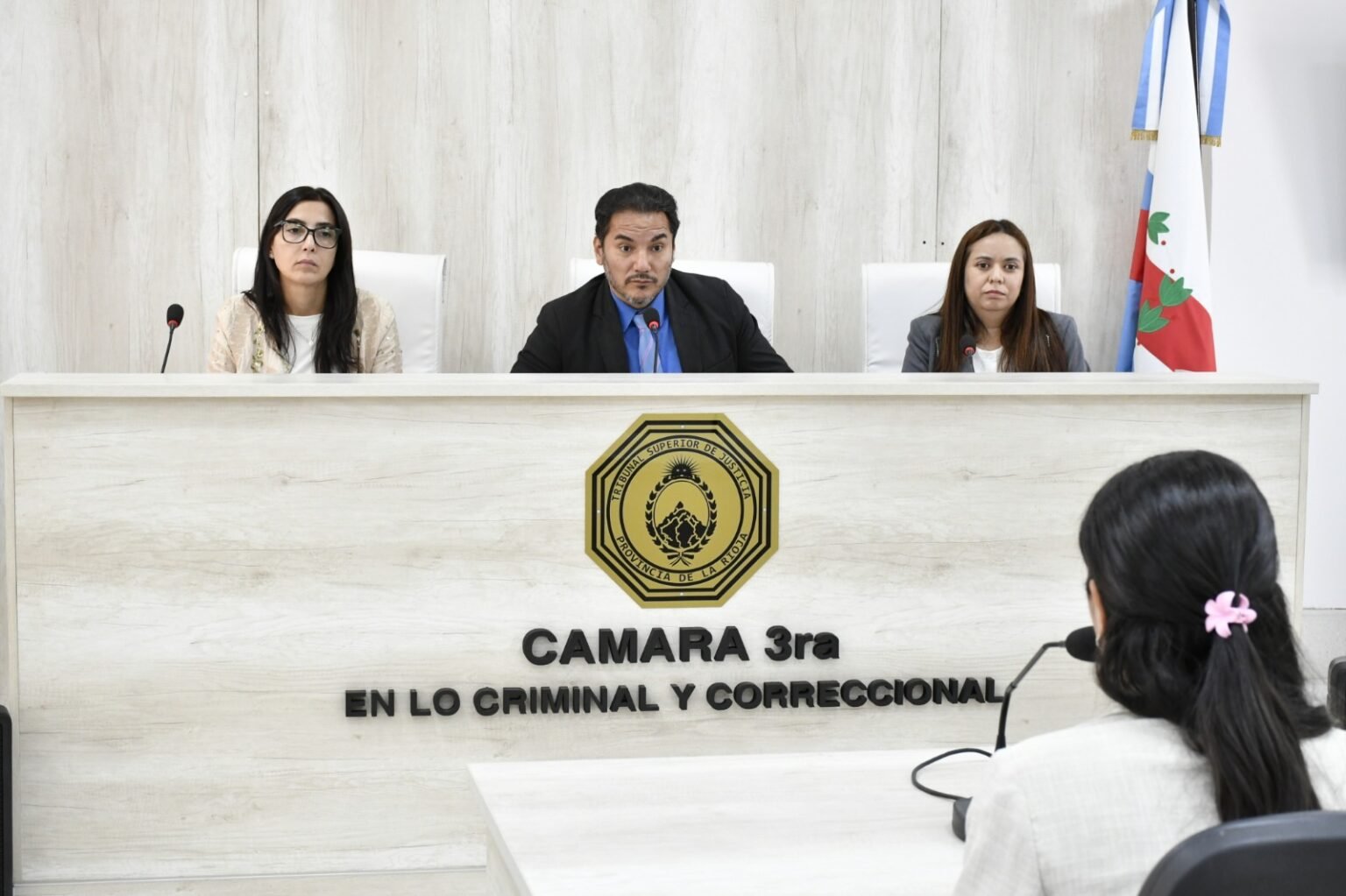 La Rioja: receptaron testimonios de profesionales en un juicio por abuso sexual infantil juicio abuso sexual de nina testimonios 1 27 02 26