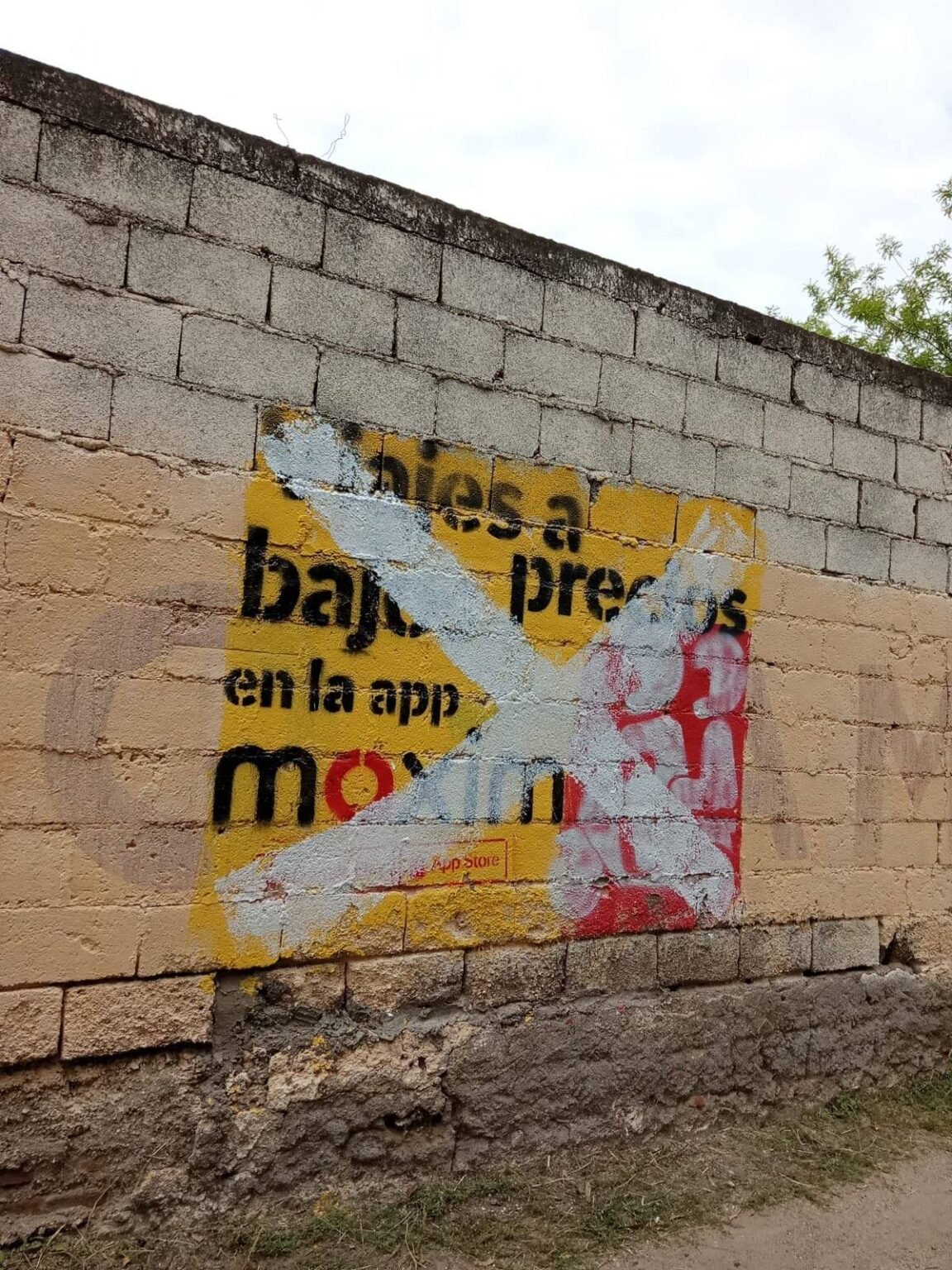 Armando Molina denunció pintadas ilegales en obras viales y edificios de la ciudad 645115925 1481839200616296 184915197828227591 n