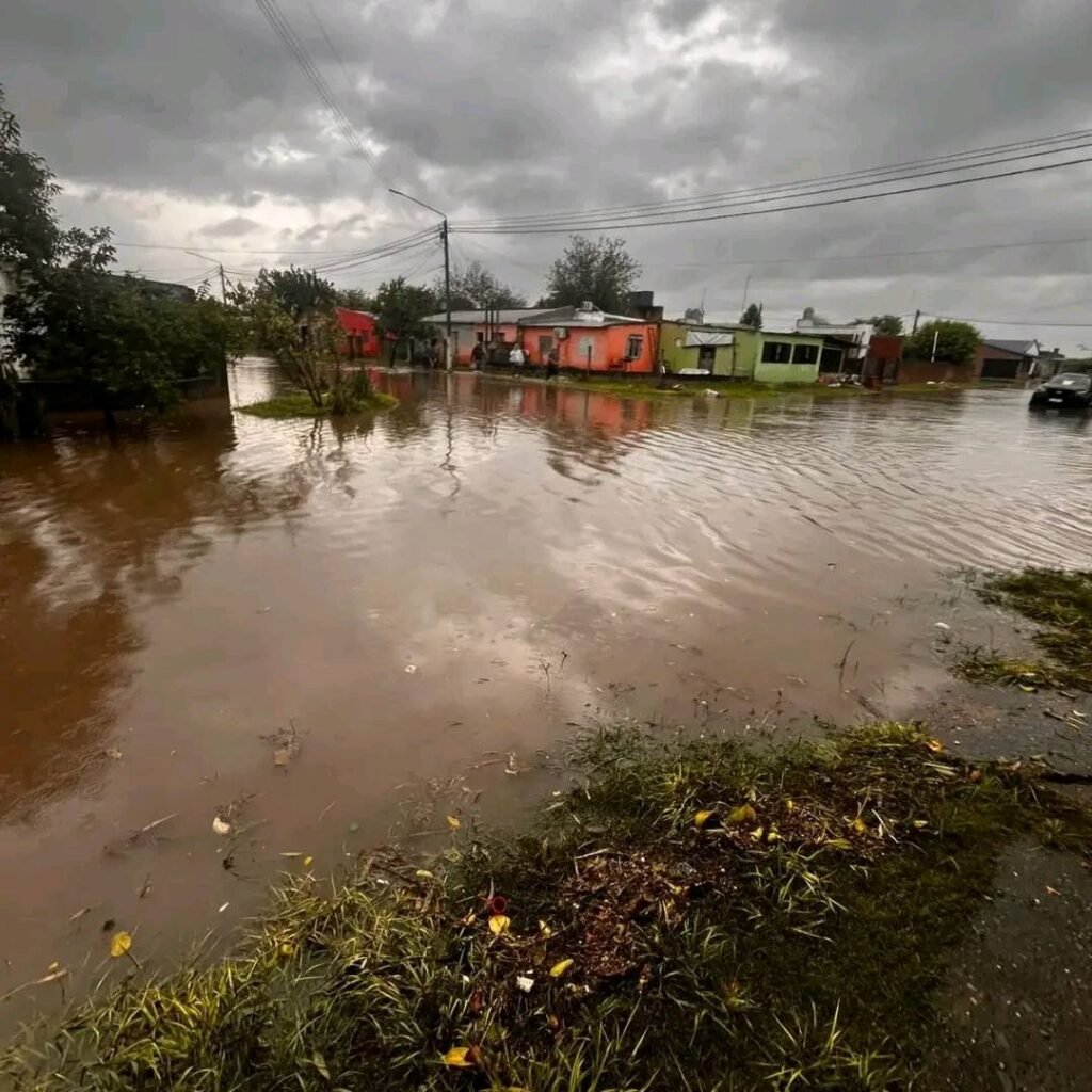 649113776 122169032078823962 1926617153500588030 n