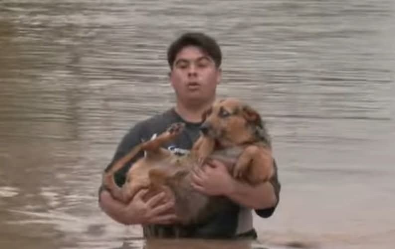 649127553 1461945875944118 4326426857584658937 n