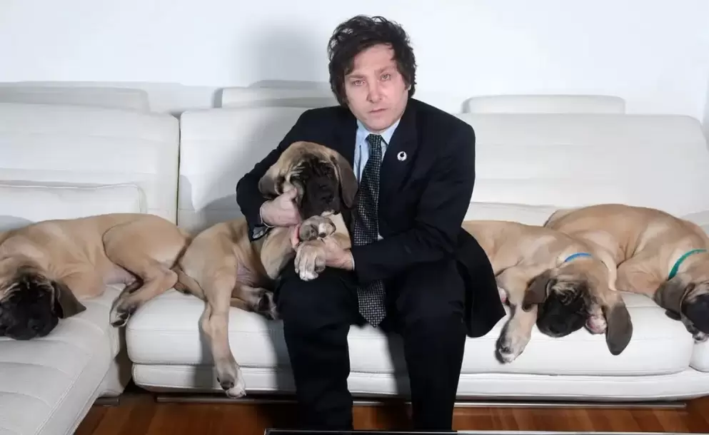 Murió Robert, uno de los perros clonados de Javier Milei