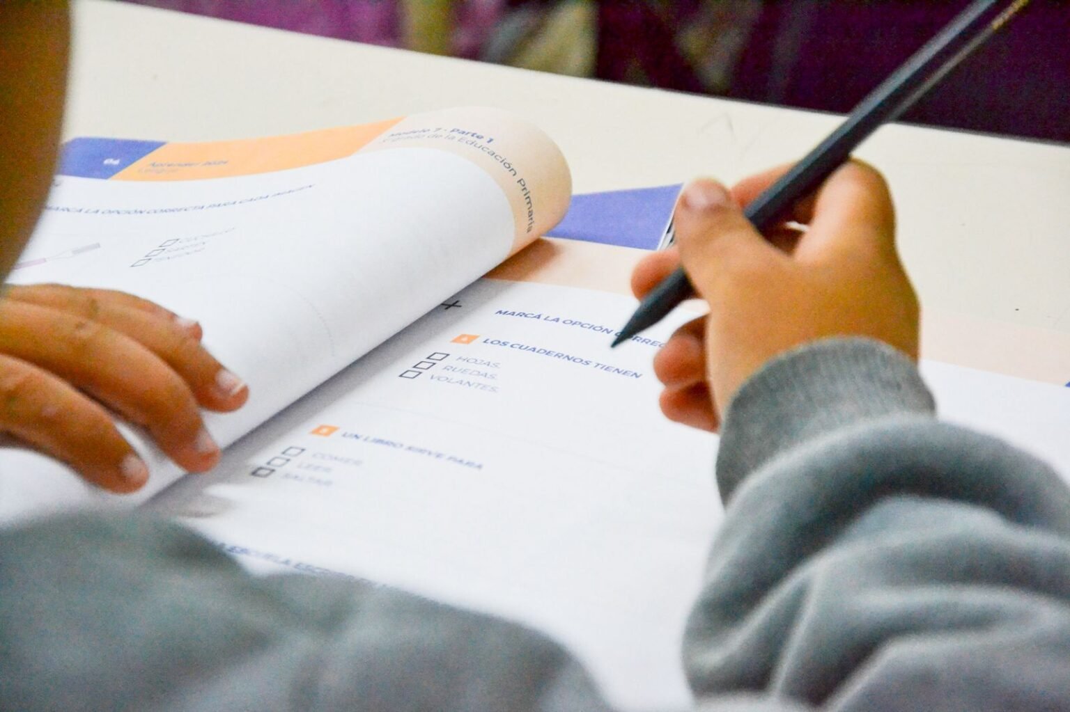 La Provincia evaluó la alfabetización inicial de casi 4.700 estudiantes de primer grado IMG 20260315 WA0011