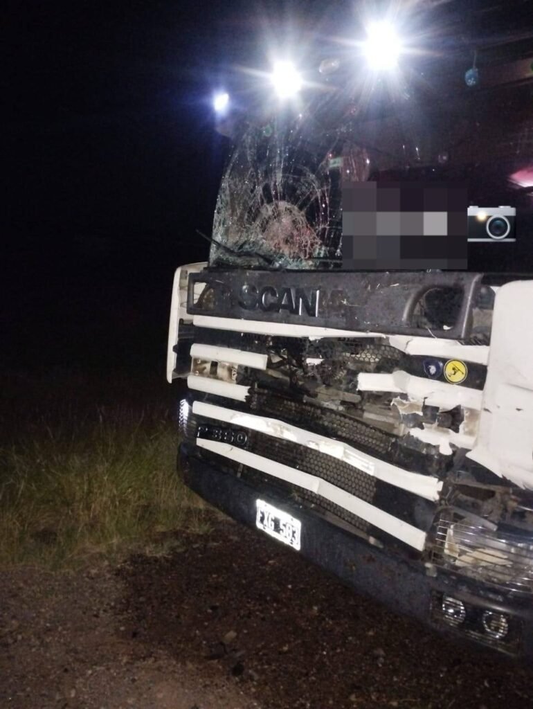 Animales sueltos en Ruta 38 provocaron siniestro vial WhatsApp Image 2026 03 02 at 12.01.07 PM