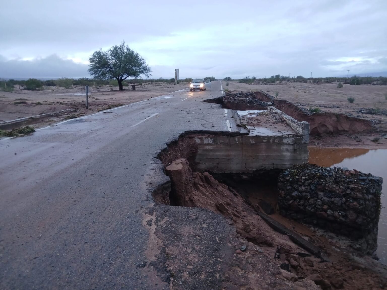 WhatsApp Image 2026 03 06 at 8.59.35 AM