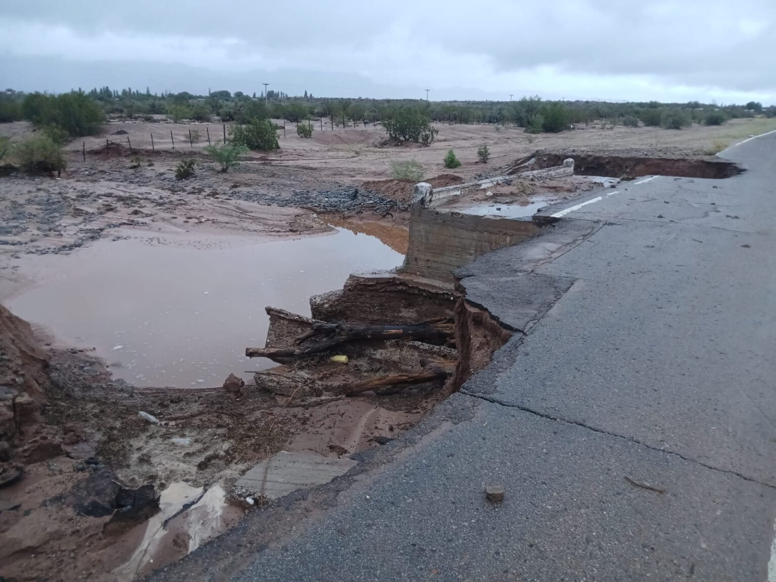 WhatsApp Image 2026 03 06 at 9.12.15 AM