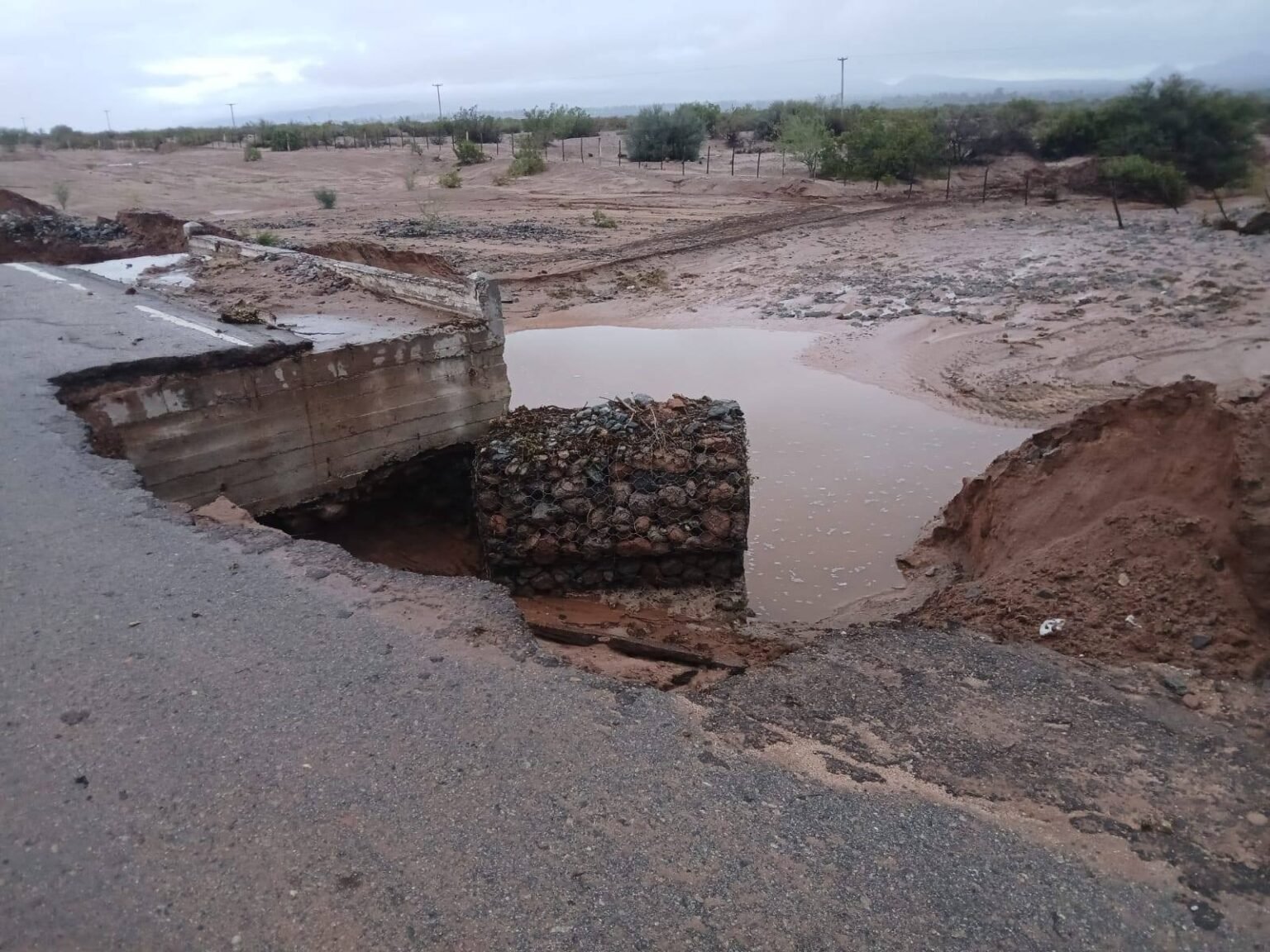 WhatsApp Image 2026 03 06 at 9.13.47 AM