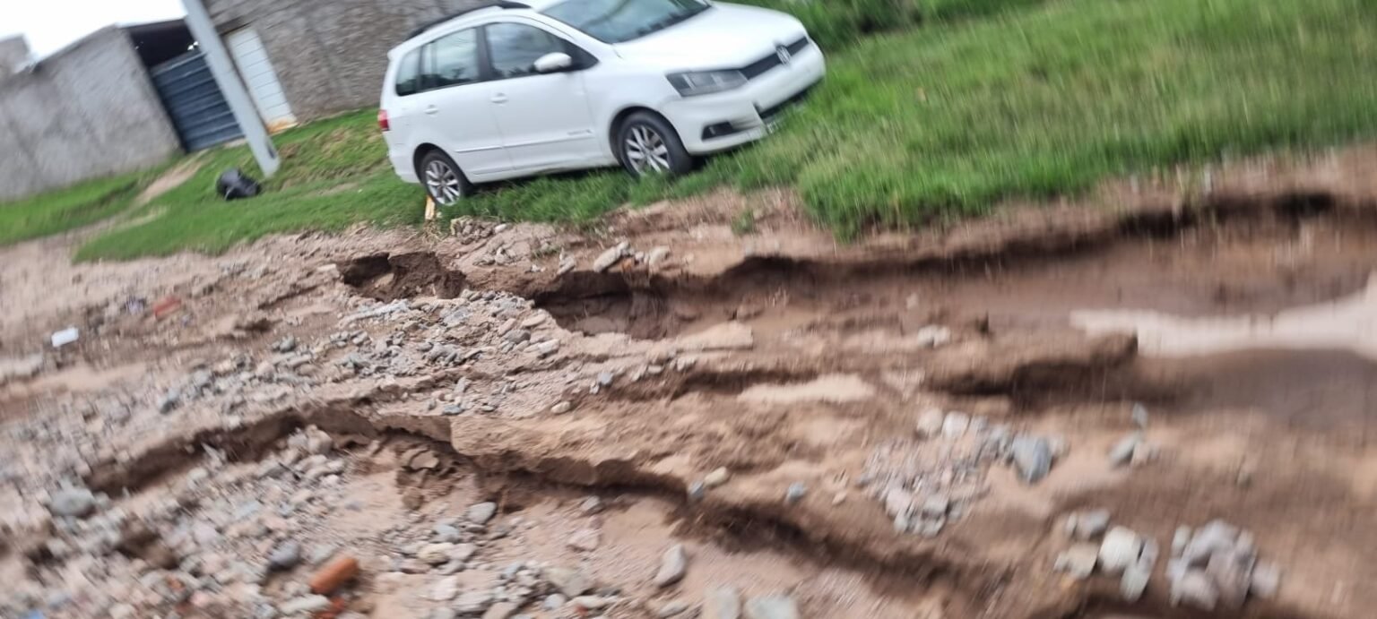 WhatsApp Image 2026 03 12 at 11.46.24 AM