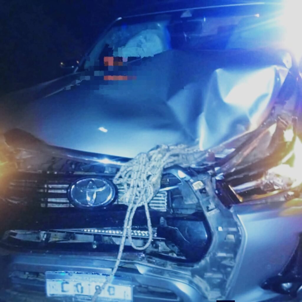 WhatsApp Image 2026 03 23 at 10.52.43 AM