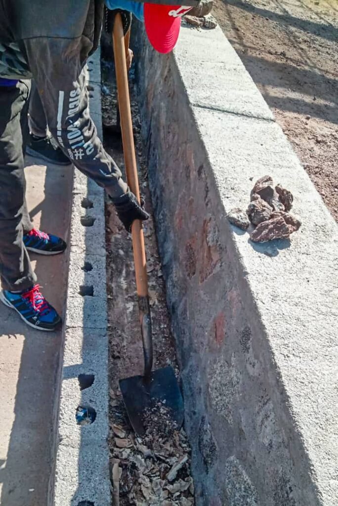 661098146 1578628180937148 4342263076314447669 n