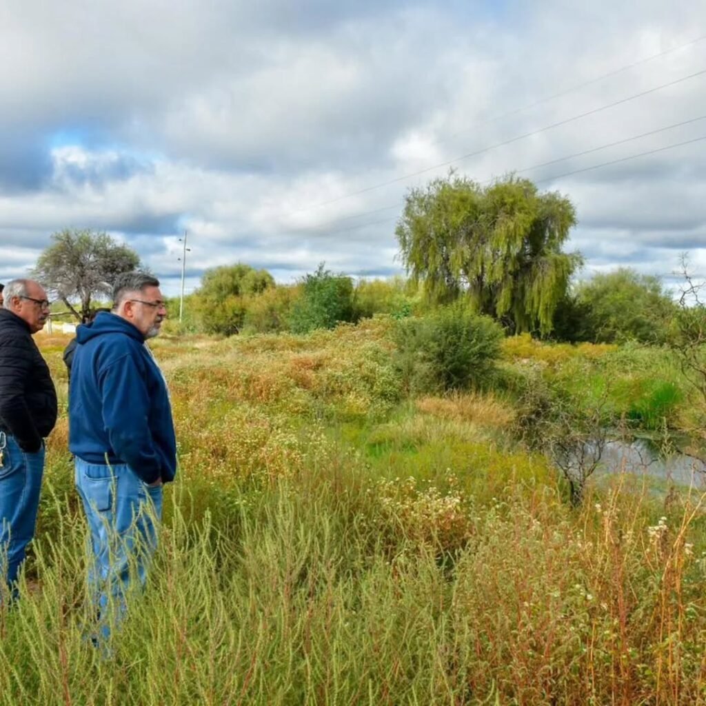 673855000 17886013902500366 8766804031928941283 n