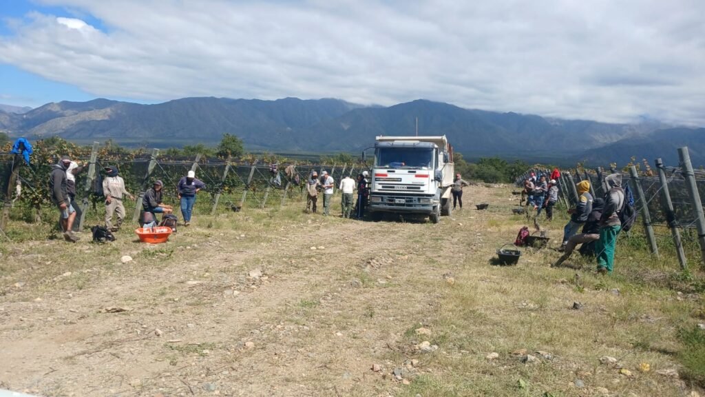 Chilecito: detectan graves irregularidades laborales en una finca de La Aguadita Chilecito