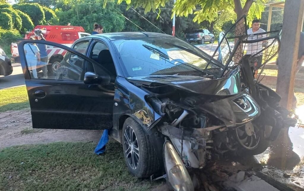 Fuerte siniestro vial en Avenida Felipe Varela: automovilista embistió 4 columnas IMG 0462