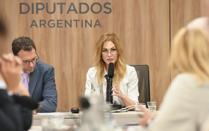 Lilia Lemoine asumió en la comisión de Juicio Político Lemoine