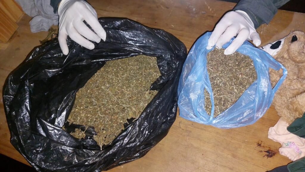 WhatsApp Image 2026 04 15 at 10.28.15 AM