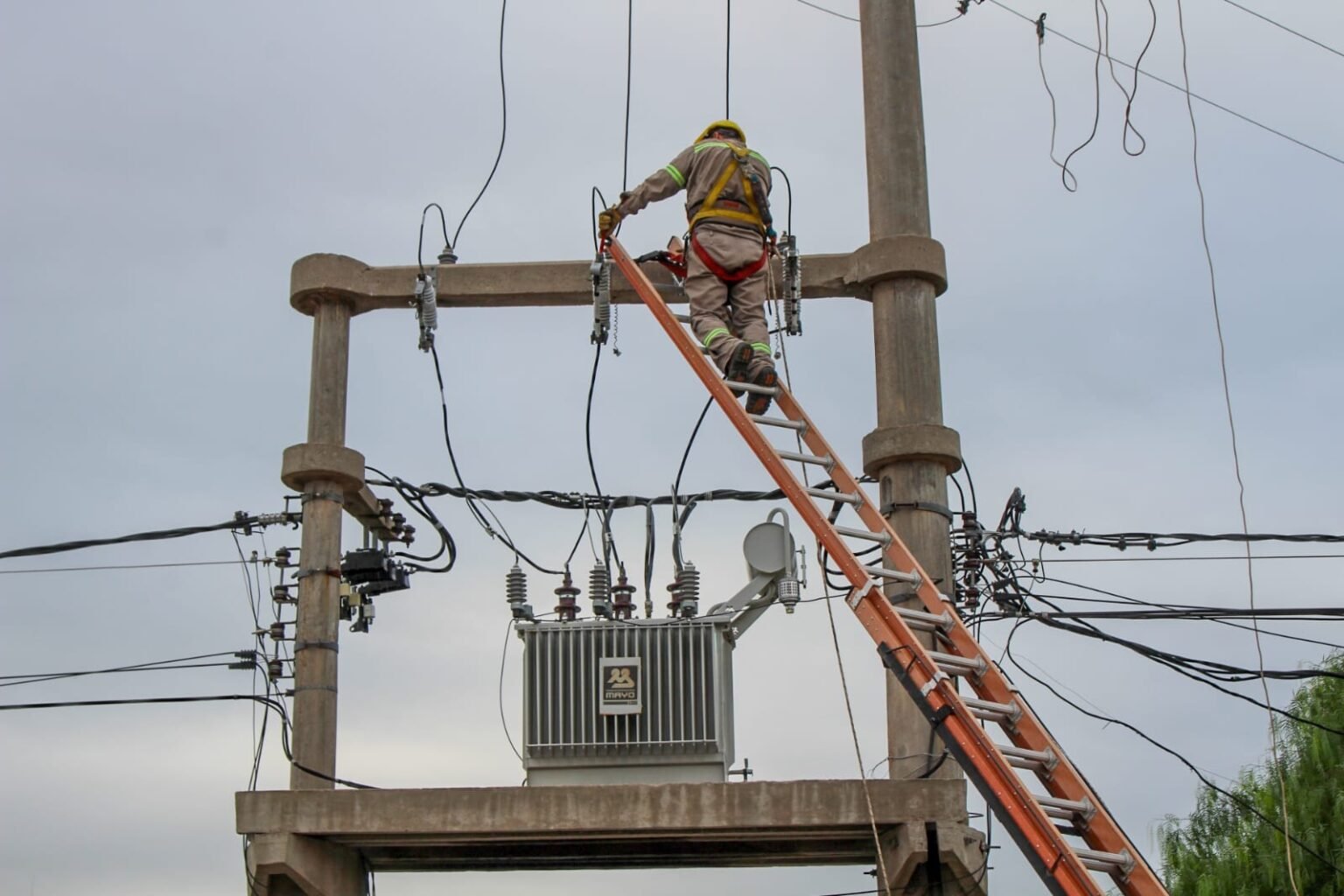 WhatsApp Image 2026 04 24 at 3.43.09 PM