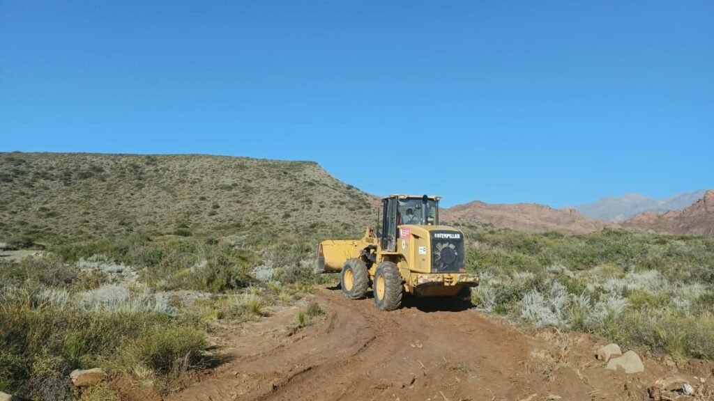 WhatsApp Image 2026 04 24 at 8.15.47 AM