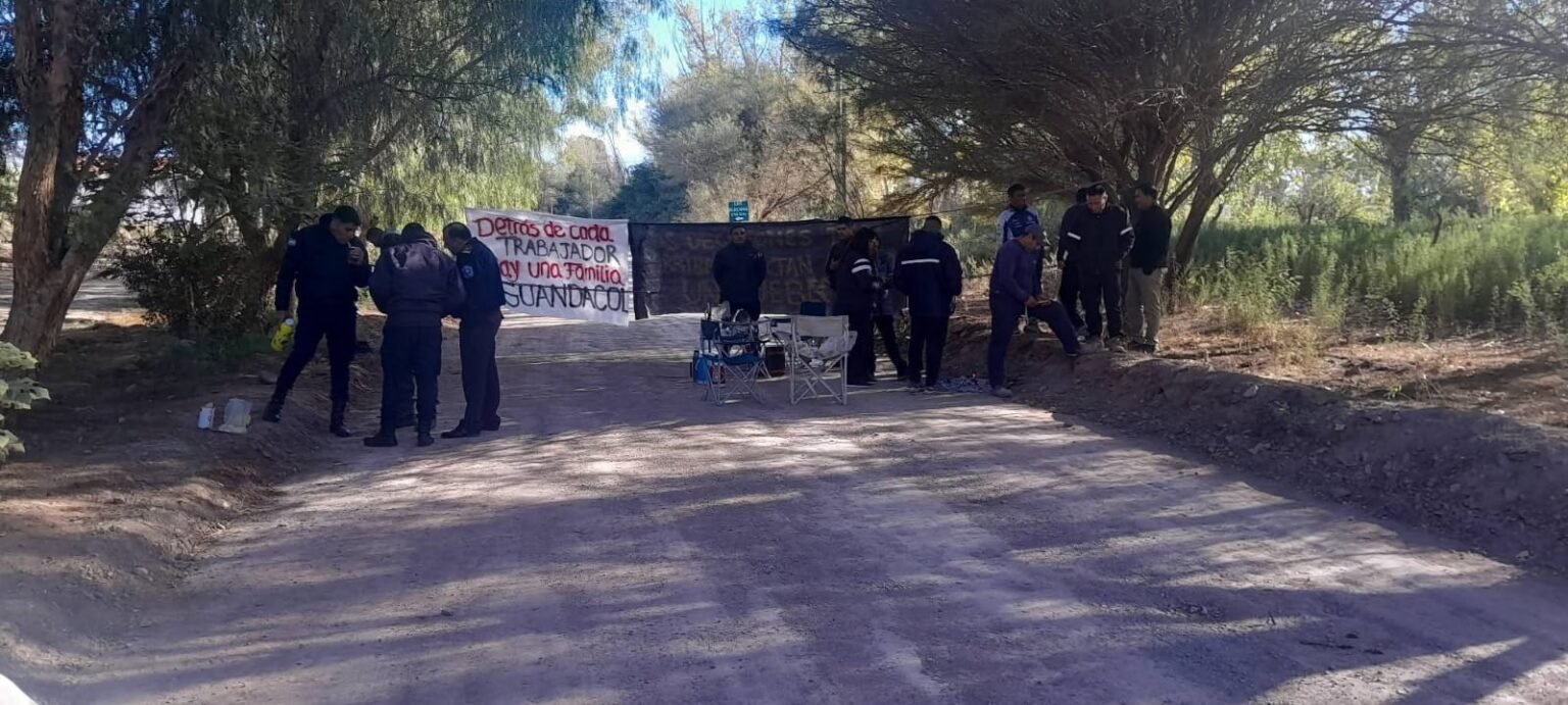 WhatsApp Image 2026 04 27 at 11.02.28 AM 1