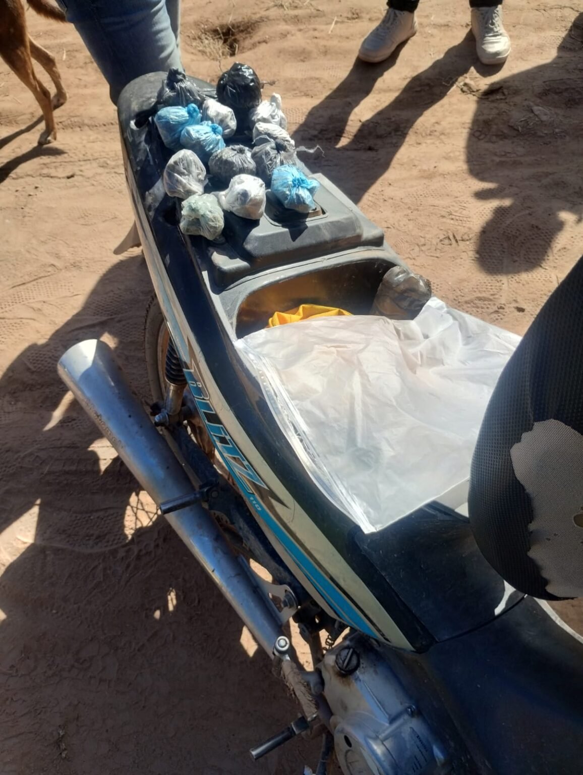 WhatsApp Image 2026 04 29 at 9.49.31 AM