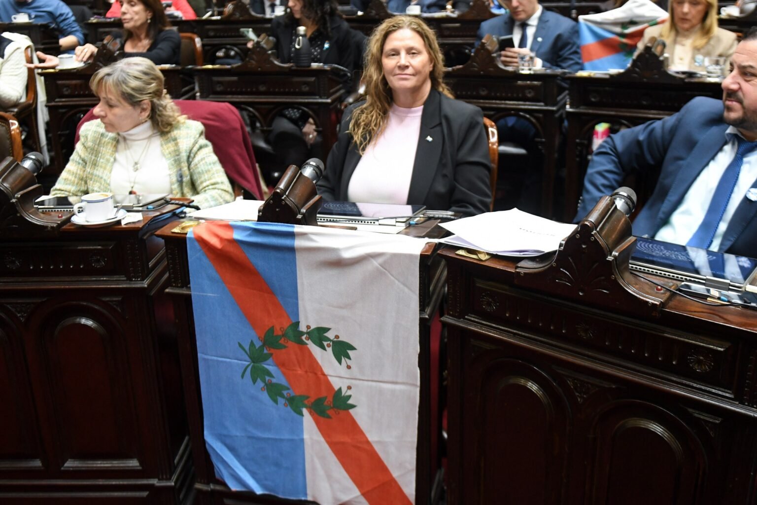Pedrali criticó la quita de subsidios a «Zonas Frías» y reclamó tarifas diferenciadas para el Norte Pedrali 1