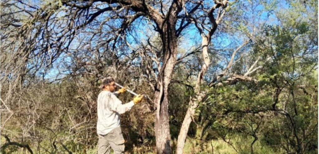 El INTA realizó un diagnóstico socio ambiental y forestal en dos campos ganaderos en el sur riojano WhatsApp Image 2026 05 20 at 11.54.57 AM