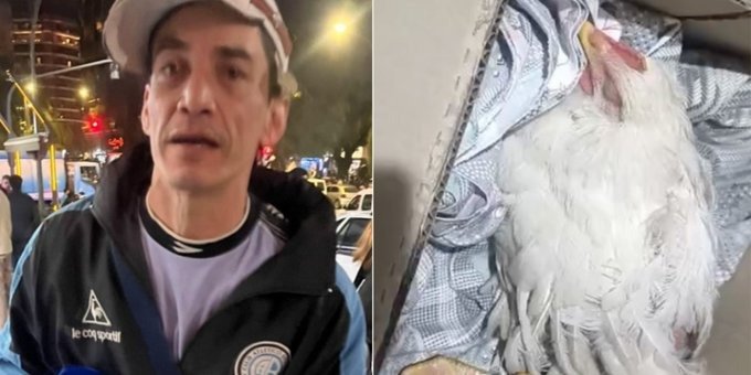 Indignación en Córdoba: denuncian que un hincha de Belgrano maltrató y desplumó a una gallina en los festejos WhatsApp Image 2026 05 27 at 11.40.37 AM