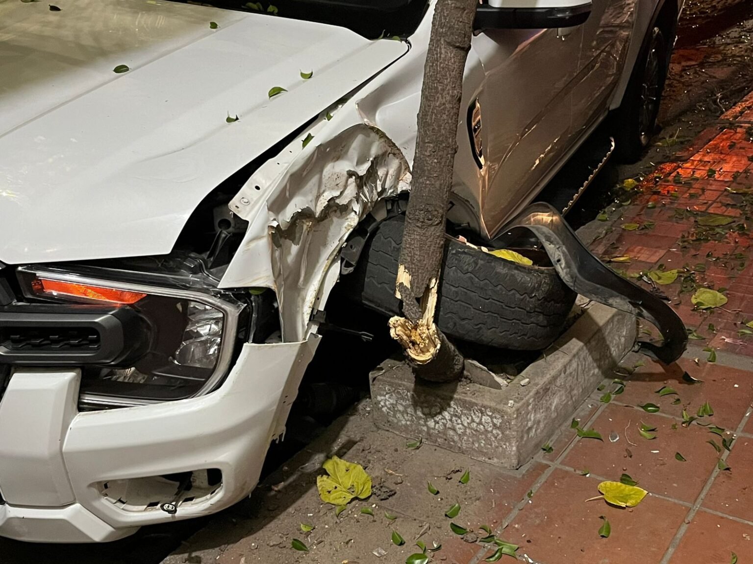 Chocó contra un árbol en el macrocentro: conductor se negó al test de alcoholemia WhatsApp Image 2026 05 29 at 9.28.58 AM