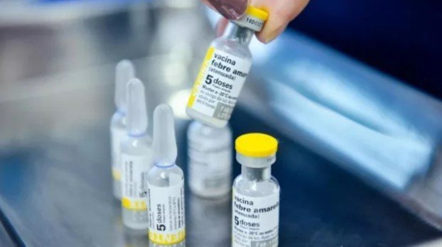 Fiebre amarilla: ante un brote detectado en Bolivia, realizan una vacunación focalizada en Salta fiebre amarilla