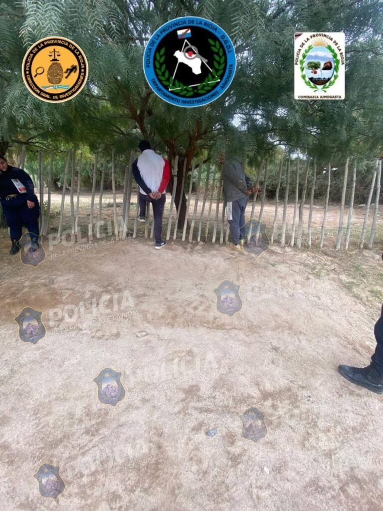 Aimogasta: detienen a dos personas en flagrancia tras un hurto de aceitunas 721099599 122178287768821877 3640306787140981475 n