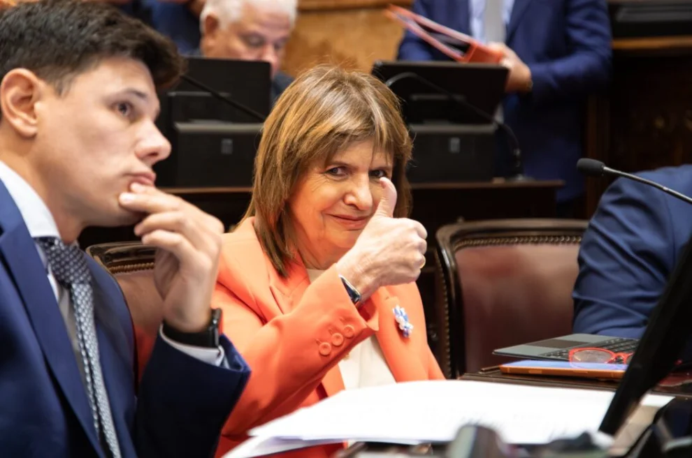 El nuevo frente que Bullrich abrió en el Senado contra la Rosada PAto