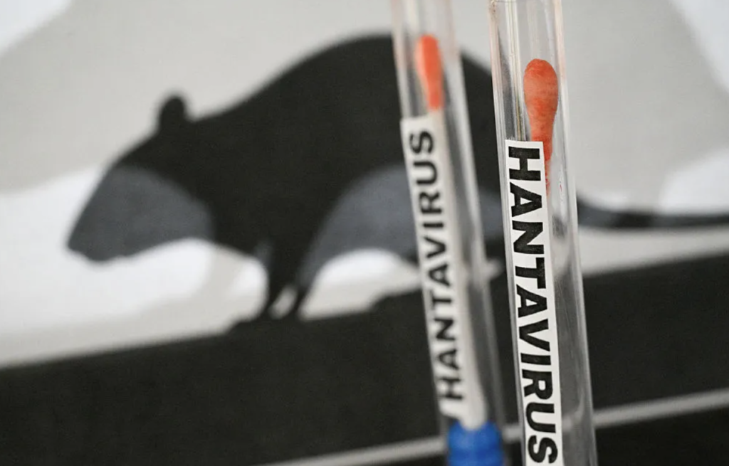 Confirmaron un nuevo caso de hantavirus en Bariloche hantavirus