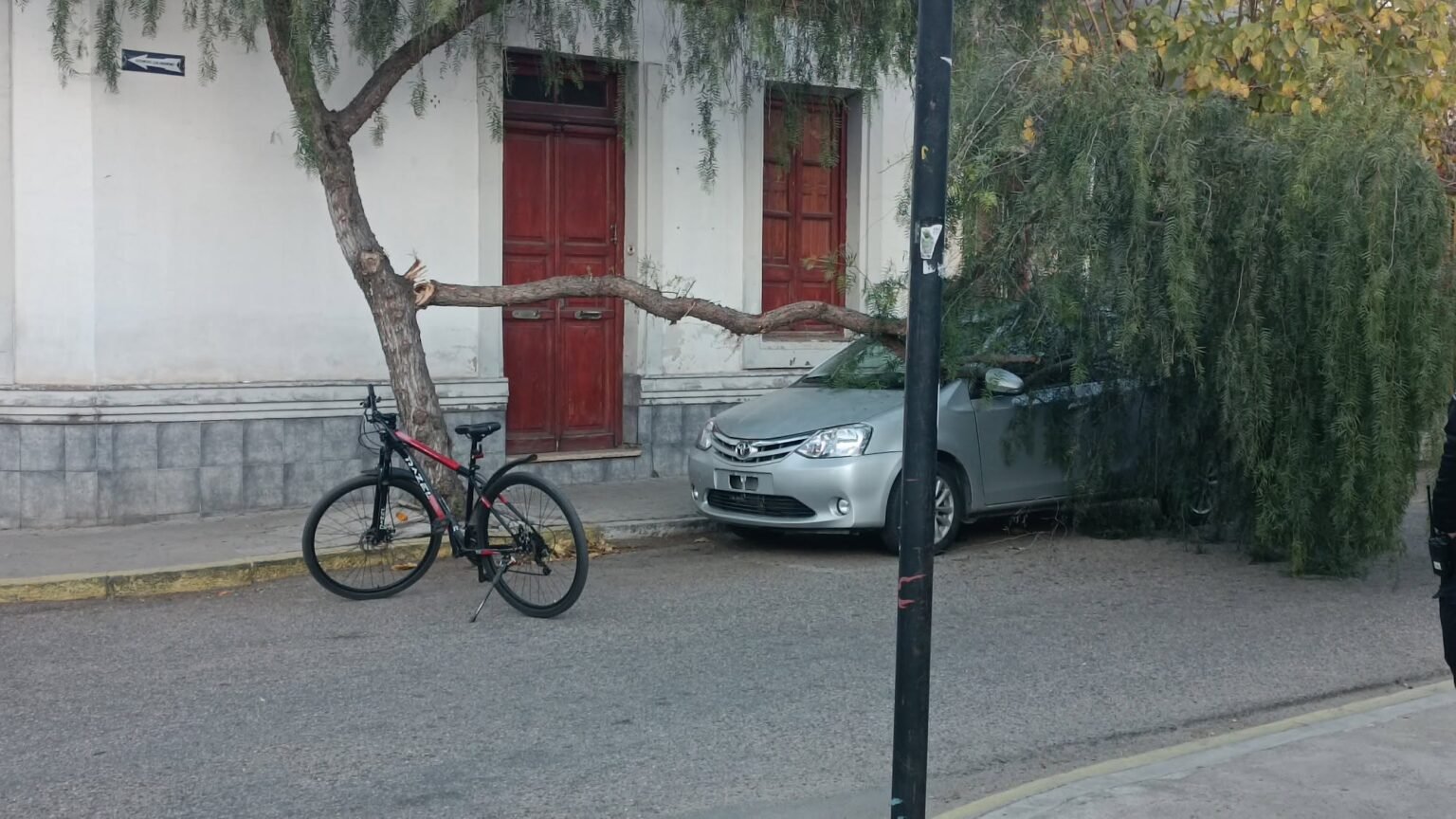 Una rama de gran porte cayó sobre un vehículo en pleno centro: no hubo heridos rama