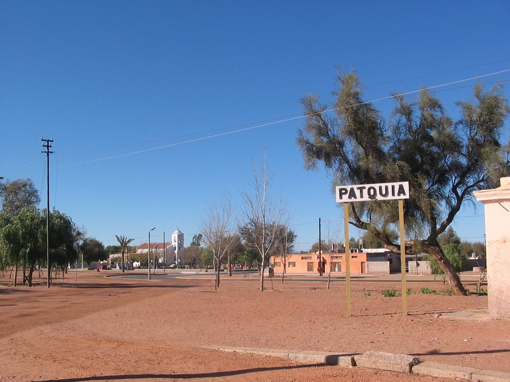 Hombre murió tras ser embestido por un colectivo sobre la Ruta Provincial 27 IMG 3539