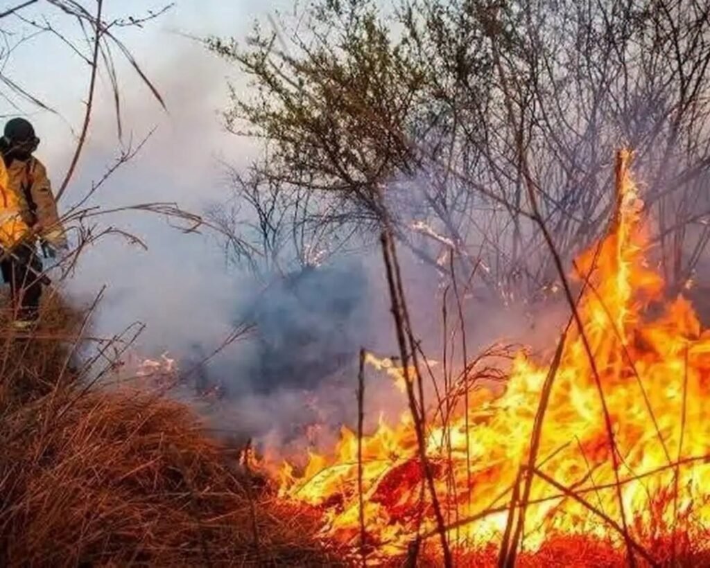 Según el ministro Zárate, el incendio en Guanchín está contenido en un 70% WhatsApp Image 2026 07 30 at 9.15.26 PM