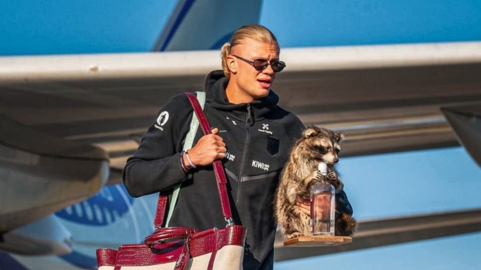 El insólito objeto que se llevó Haaland del Mundial erling haaland y su mapache 2281854