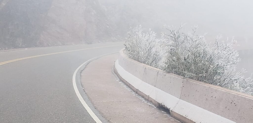 frio