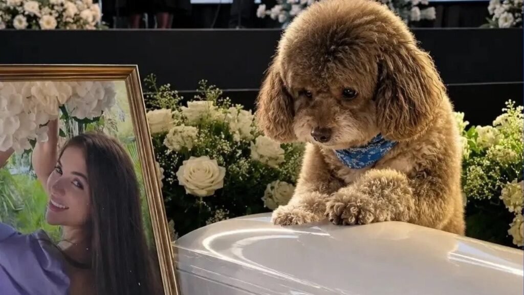 «Dio la vida por él”: la historia de la mujer que murió para salvar a su perro del terremoto en Colombia 37g0v3m1 6a81c6e261411