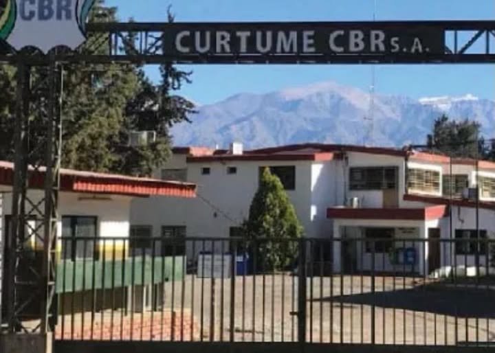 Duro revés judicial: la Justicia decretó la quiebra de una histórica curtiembre en Chilecito WhatsApp Image 2026 08 04 at 8.38.58 PM