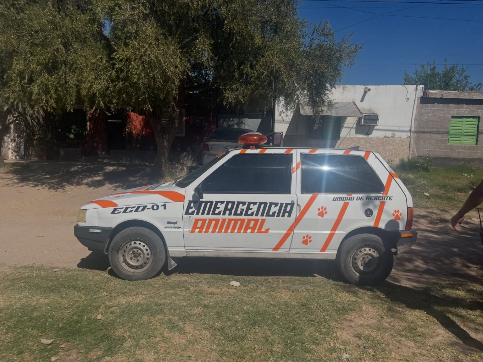emergencia animal