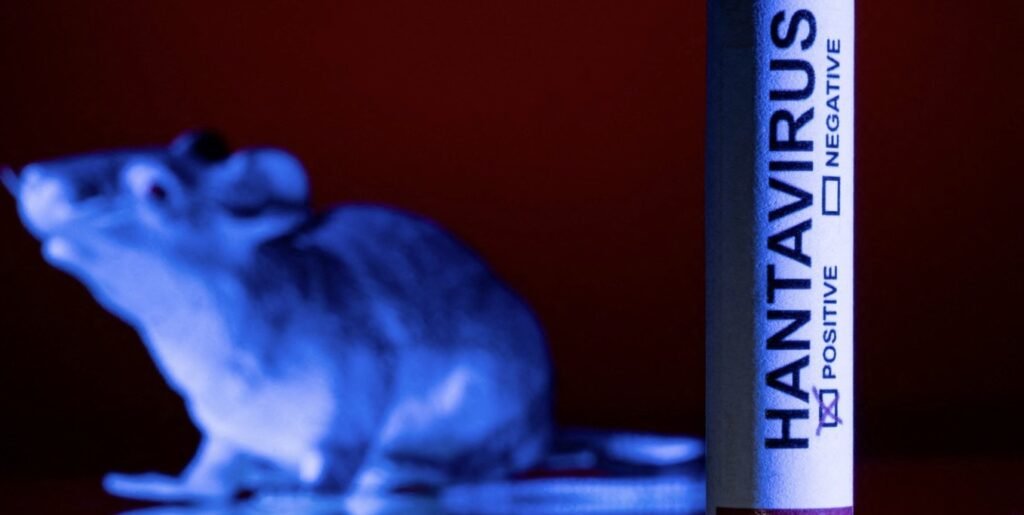 Francia confirmó un caso importado de hantavirus Andes en un turista franco-argentino hantavirus francia 6a75def38a27f