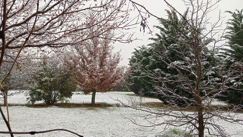 Sorpresa en Córdoba: cayó mucha nieve y cerraron el Camino de las Altas Cumbres IMG 6069