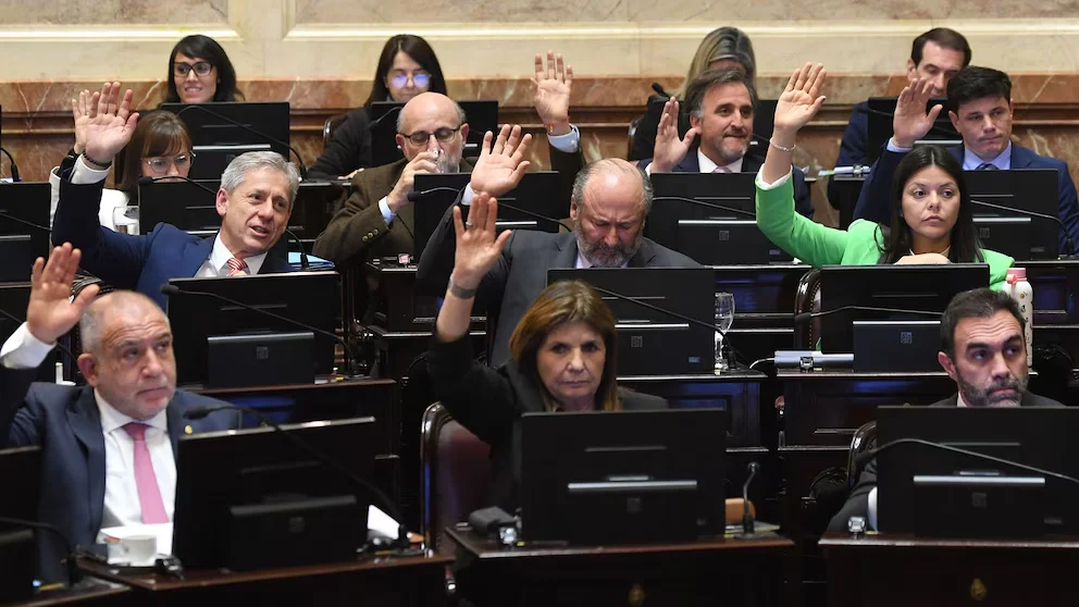 Zona Fría: quiénes acompañaron la reforma y cómo quedó dividido el Senado Senado