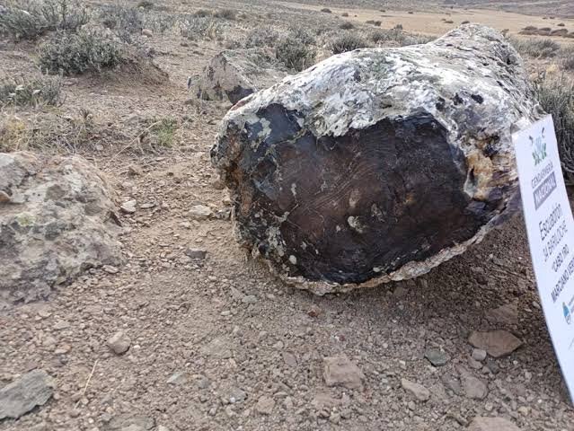 Descubrieron dos sitios arqueológicos en Río Negro sitio