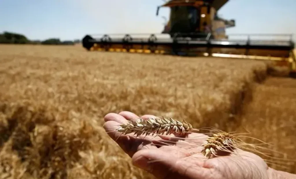 Brasil prevé producción récord de granos en 2026 a pesar de los riesgos de El Niño 720 2