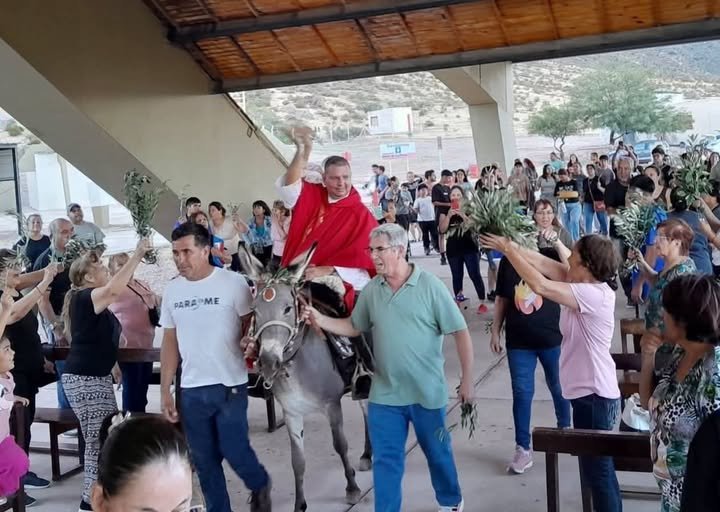 Detuvieron al principal sospechoso por la muerte del burrito «Manincho» tras un allanamiento en Aimogasta 865566118 1862423388539420 7006260841046406828 n