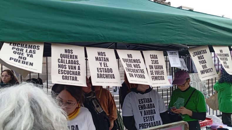 Un femicidio cada 33 horas, violencia digital y abandono estatal: cómo llega el 39° Encuentro Plurinacional de Mujeres IMG 7519